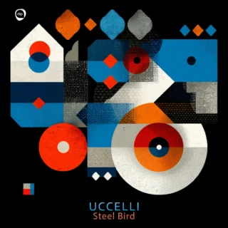 Instagram post from uccellimusic. This post is in position 1.